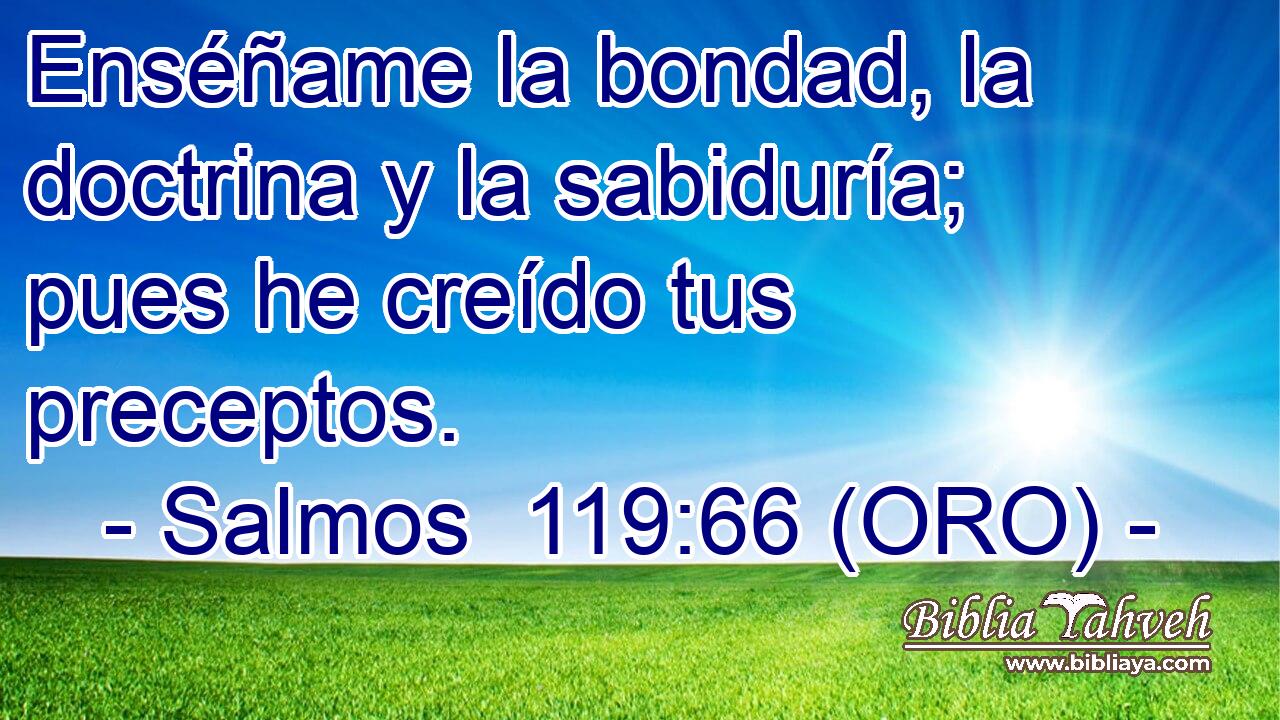  Enséñame la bondad, la doctrina y la sabiduría; pues he creído tus preceptos. 