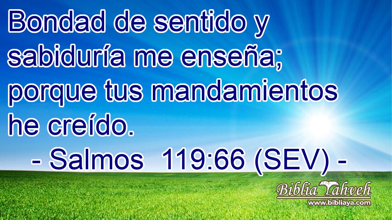 Bondad de sentido y sabiduría me enseña; porque tus mandamientos he creído.