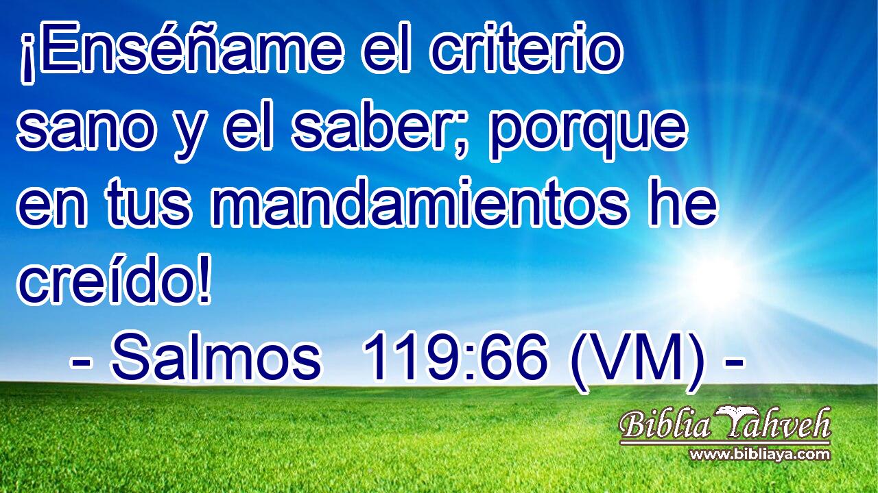 ¡Enséñame el criterio sano y el saber; porque en tus mandamientos he creído! 