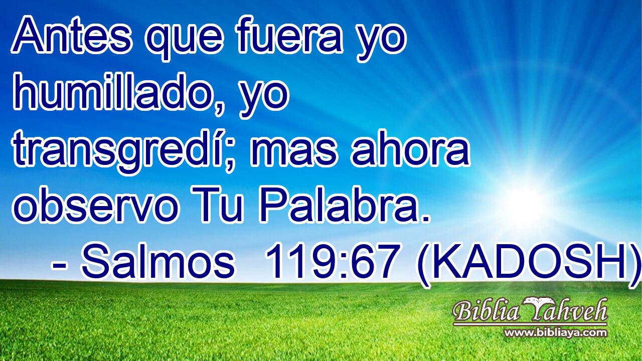  Antes que fuera yo humillado, yo transgredí; mas ahora observo Tu Palabra. 