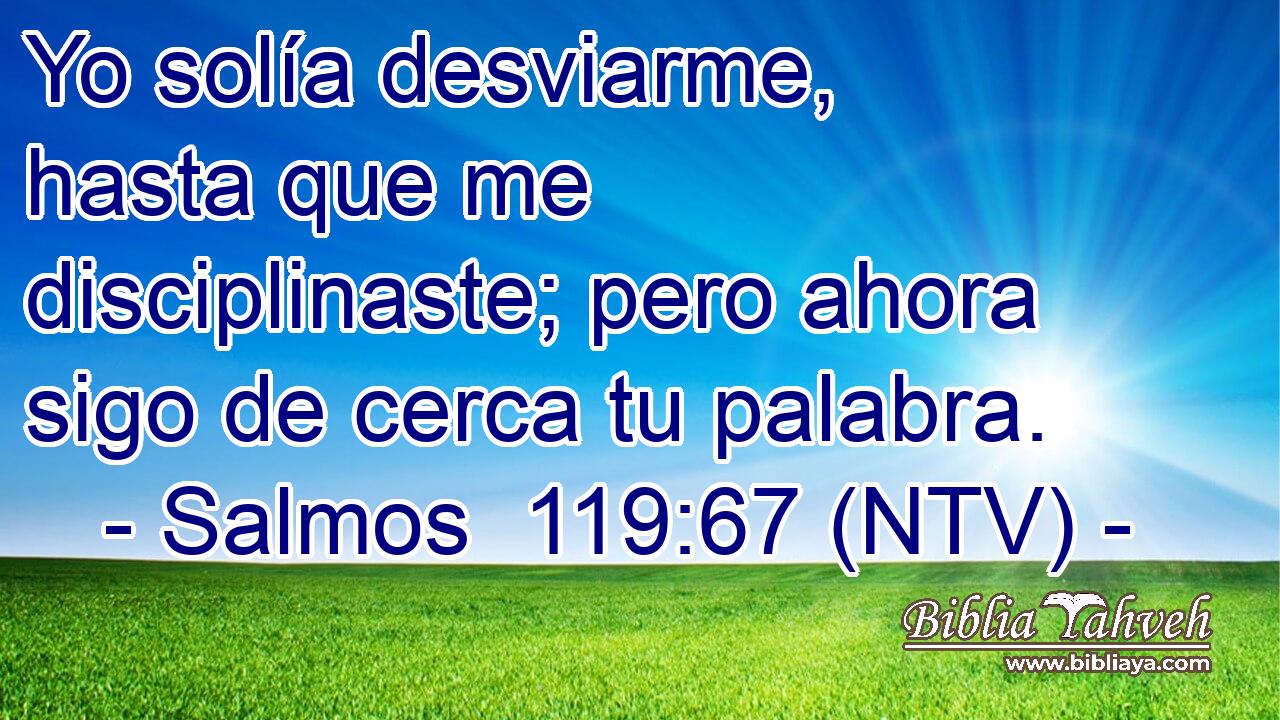 Yo solía desviarme, hasta que me disciplinaste; pero ahora sigo de cerca tu palabra.