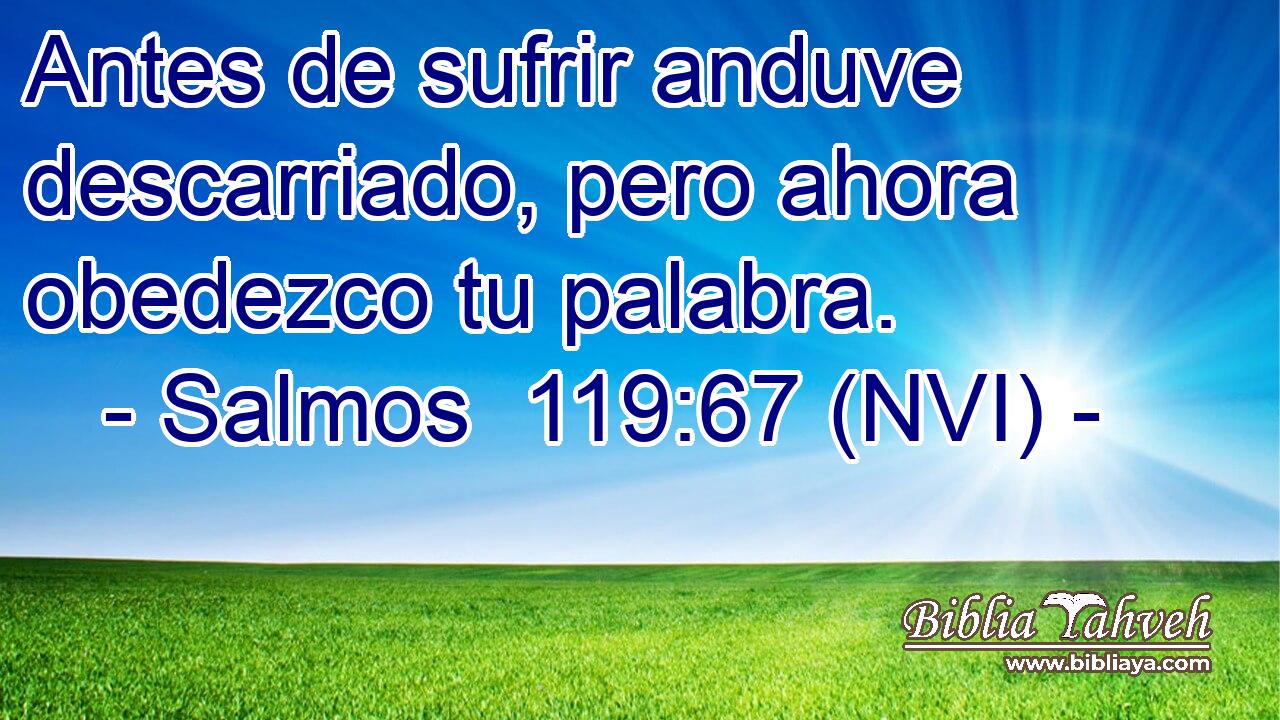  Antes de sufrir anduve descarriado, pero ahora obedezco tu palabra. 