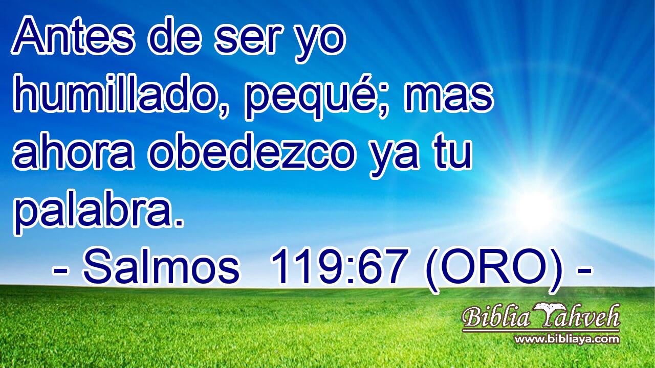  Antes de ser yo humillado, pequé; mas ahora obedezco ya tu palabra. 