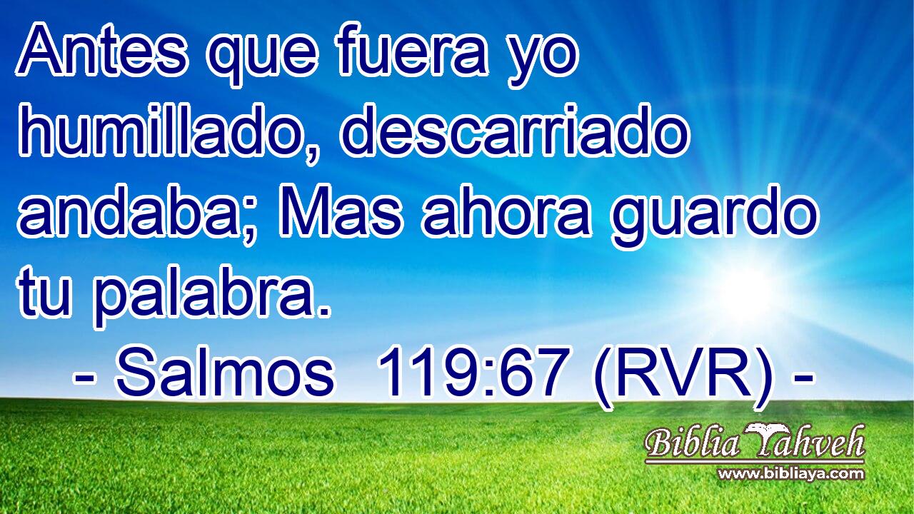 Antes que fuera yo humillado, descarriado andaba; Mas ahora guardo tu palabra.