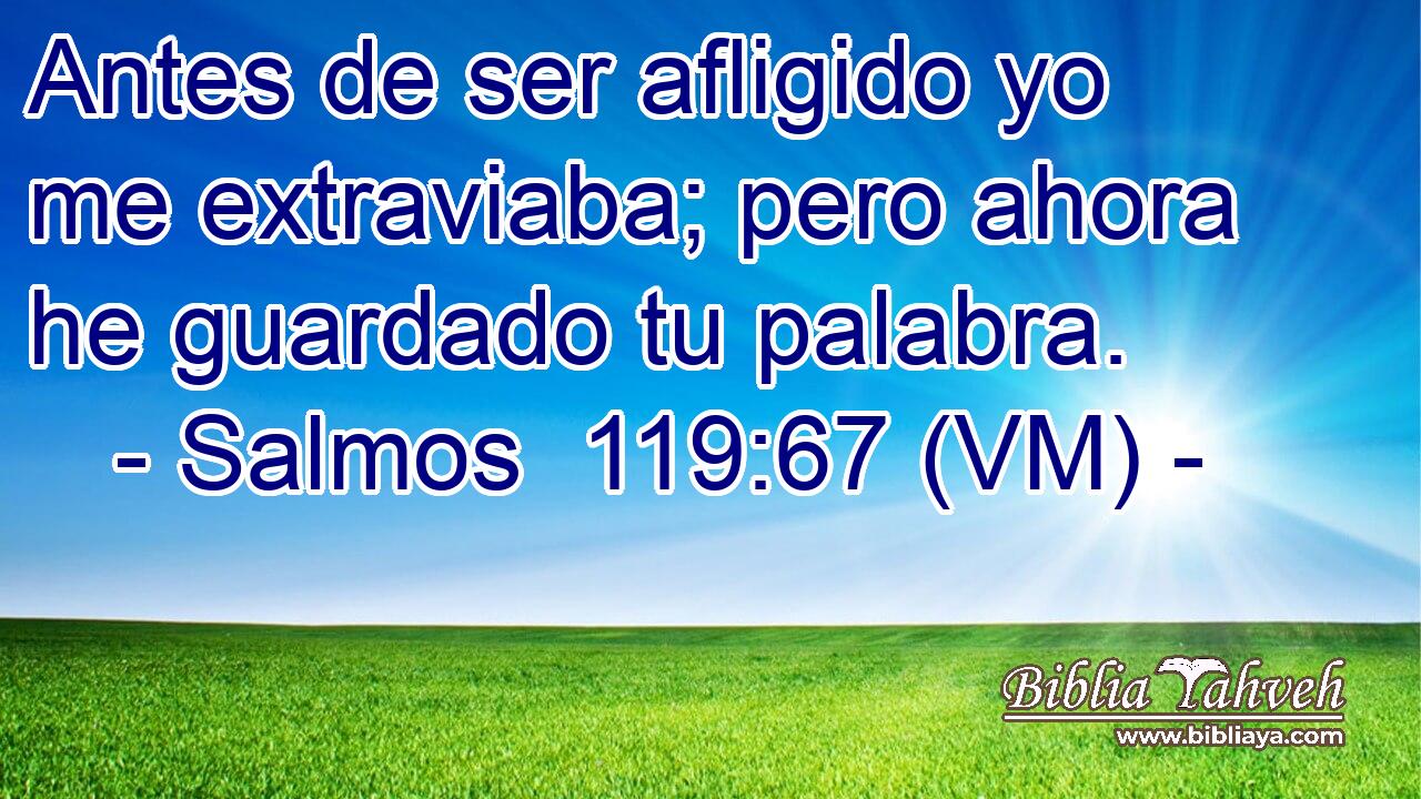  Antes de ser afligido yo me extraviaba; pero ahora he guardado tu palabra. 