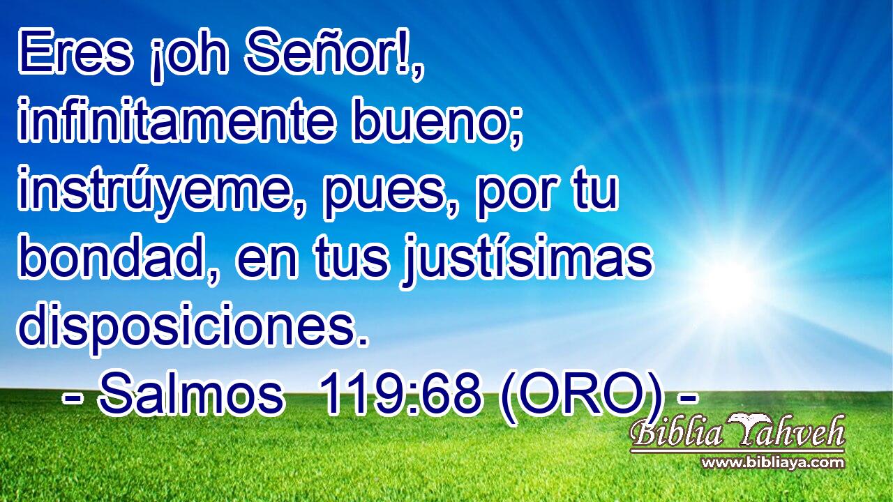 Eres ¡oh Señor!, infinitamente bueno; instrúyeme, pues, por tu bondad, en tus justísimas disposiciones. 