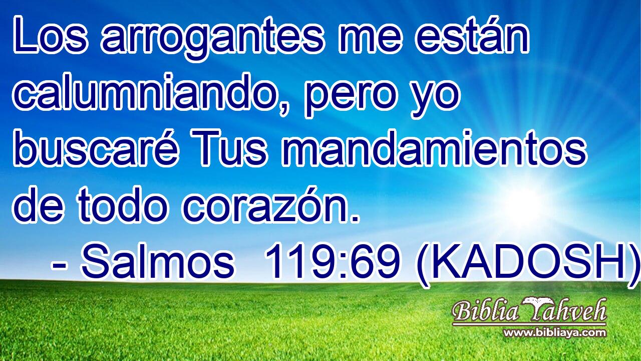  Los arrogantes me están calumniando, pero yo buscaré Tus mandamientos de todo corazón. 