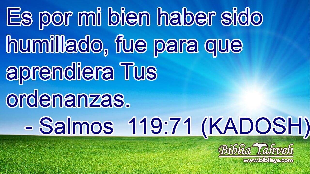  Es por mi bien haber sido humillado, fue para que aprendiera Tus ordenanzas. 