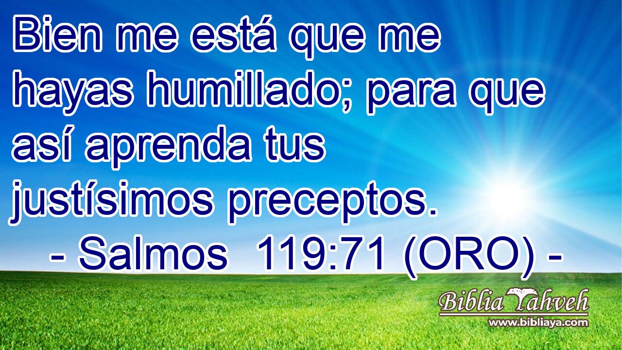  Bien me está que me hayas humillado; para que así aprenda tus justísimos preceptos. 