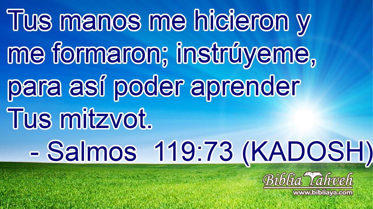  Tus manos me hicieron y me formaron; instrúyeme, para así poder aprender Tus mitzvot. 