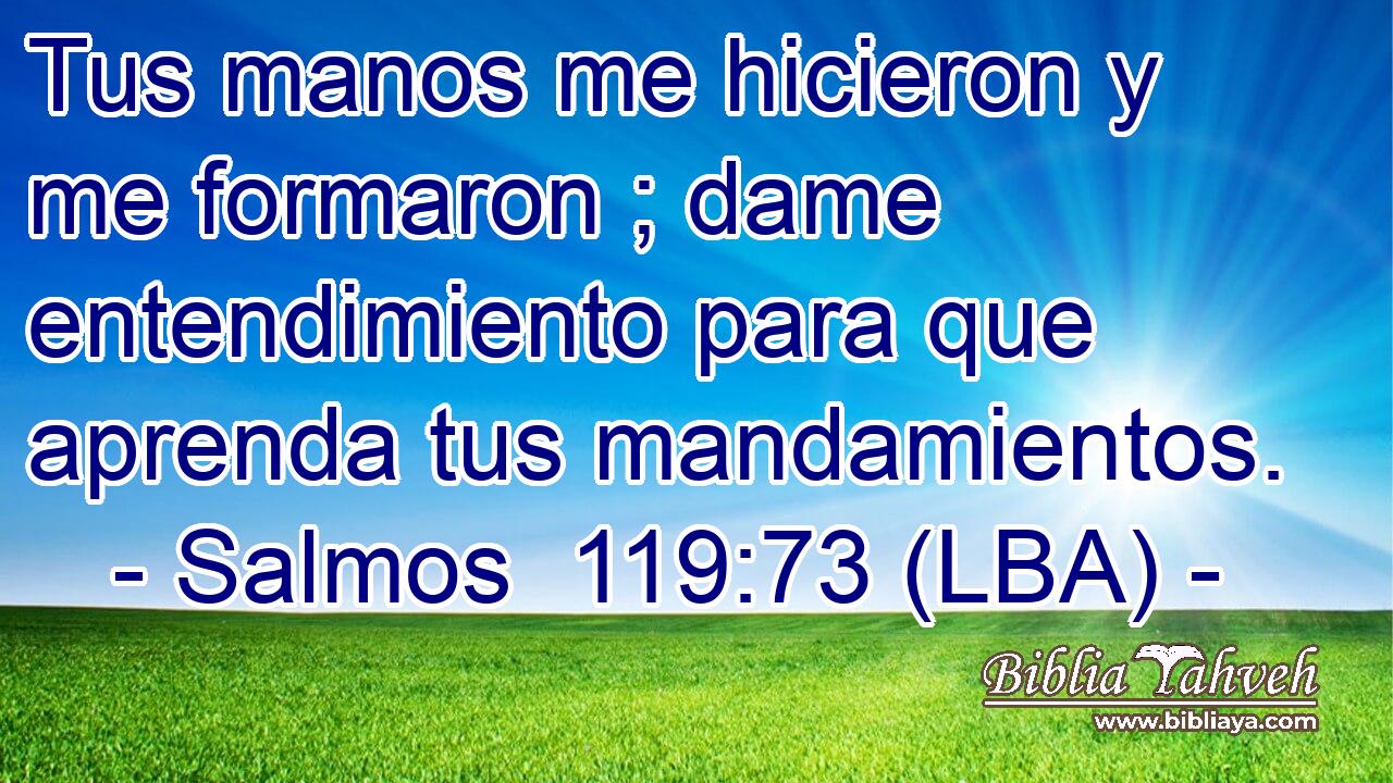 Tus manos me hicieron y me formaron ; dame entendimiento para que aprenda tus mandamientos.