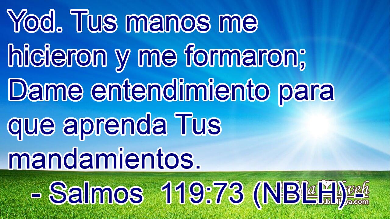  Yod. Tus manos me hicieron y me formaron; Dame entendimiento para que aprenda Tus mandamientos. 