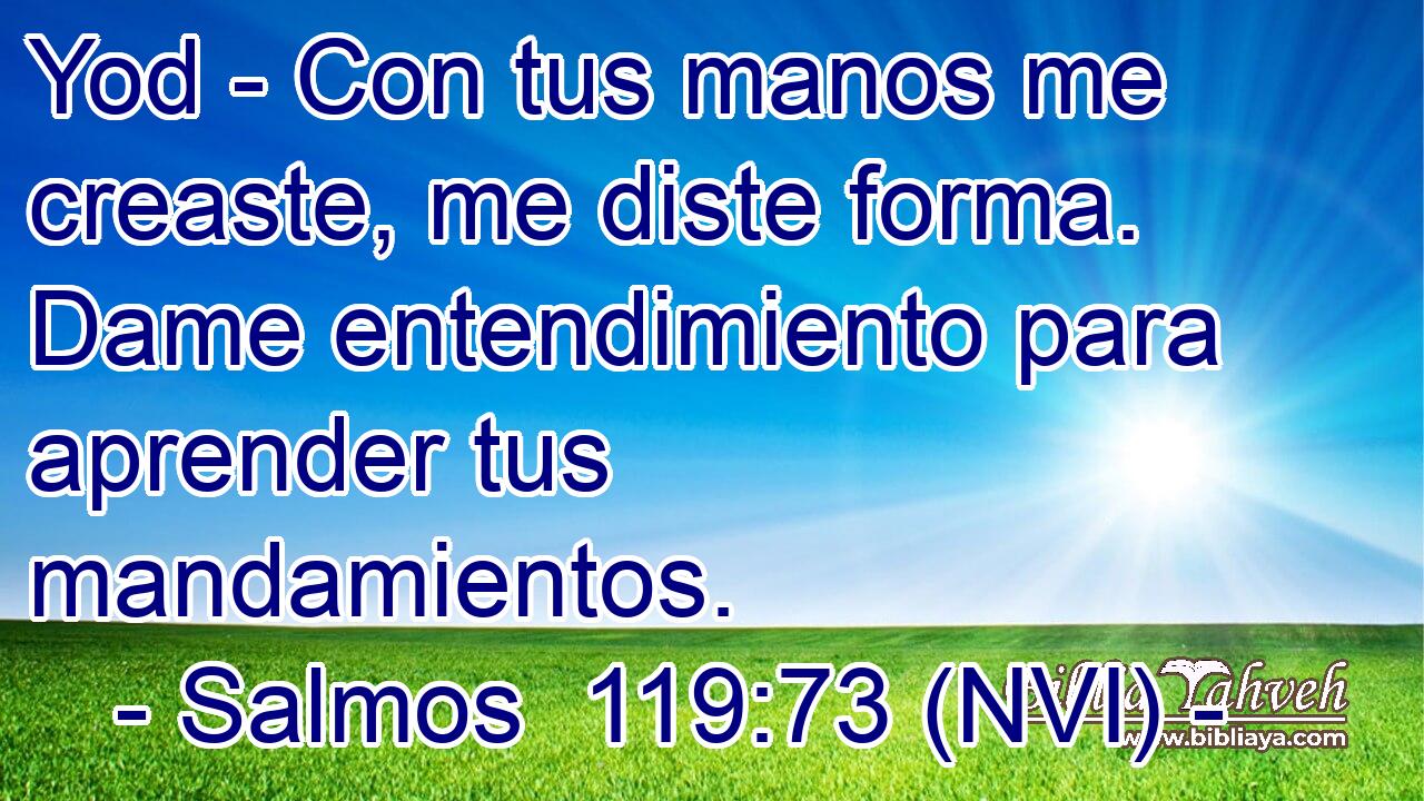  Yod - Con tus manos me creaste, me diste forma. Dame entendimiento para aprender tus mandamientos. 