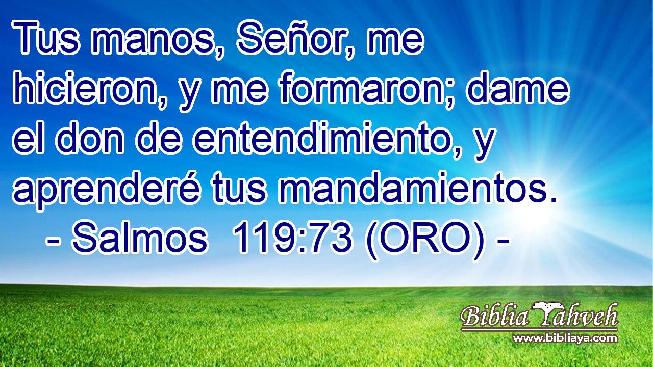  Tus manos, Señor, me hicieron, y me formaron; dame el don de entendimiento, y aprenderé tus mandamientos. 