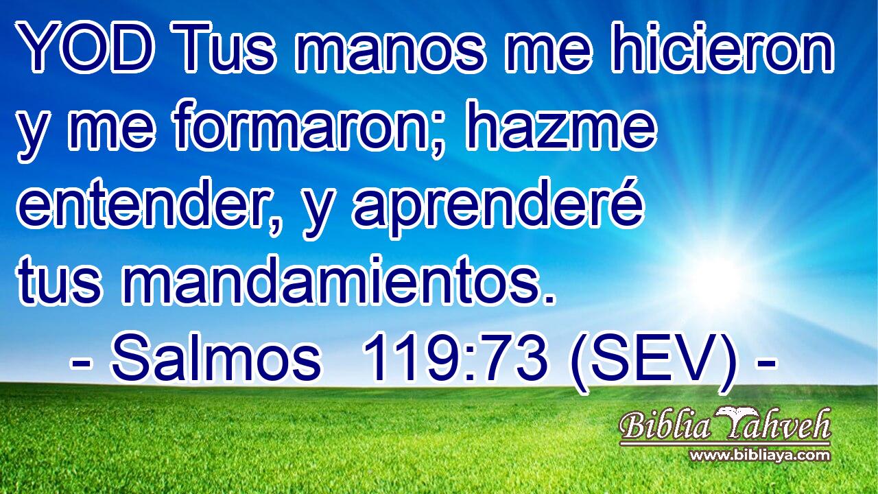 YOD Tus manos me hicieron y me formaron; hazme entender, y aprenderé tus mandamientos.