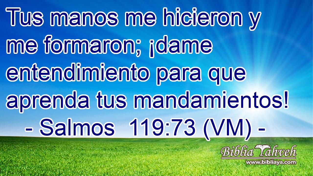 Tus manos me hicieron y me formaron; ¡dame entendimiento para que aprenda tus mandamientos! 