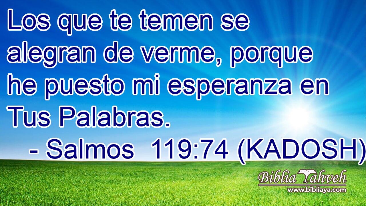  Los que te temen se alegran de verme, porque he puesto mi esperanza en Tus Palabras. 