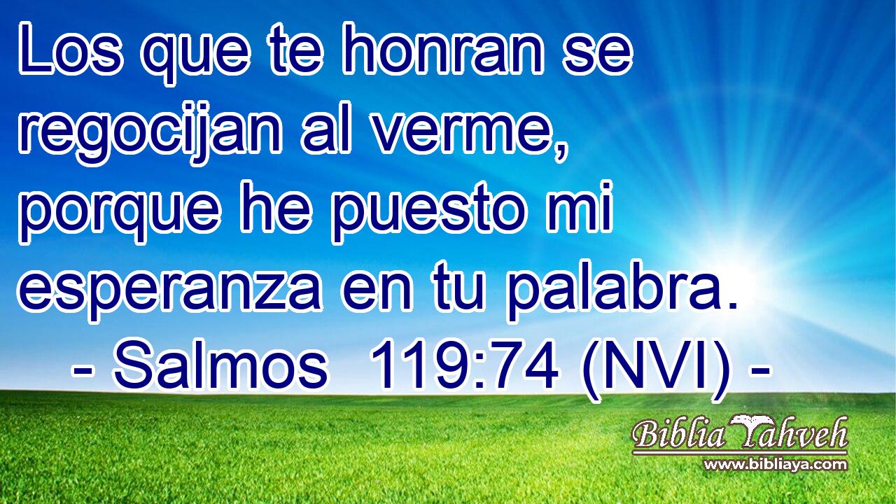  Los que te honran se regocijan al verme, porque he puesto mi esperanza en tu palabra. 