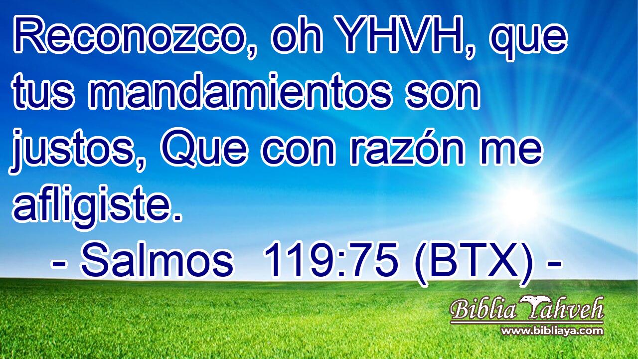 Reconozco, oh YHVH, que tus mandamientos son justos, Que con razón me afligiste.