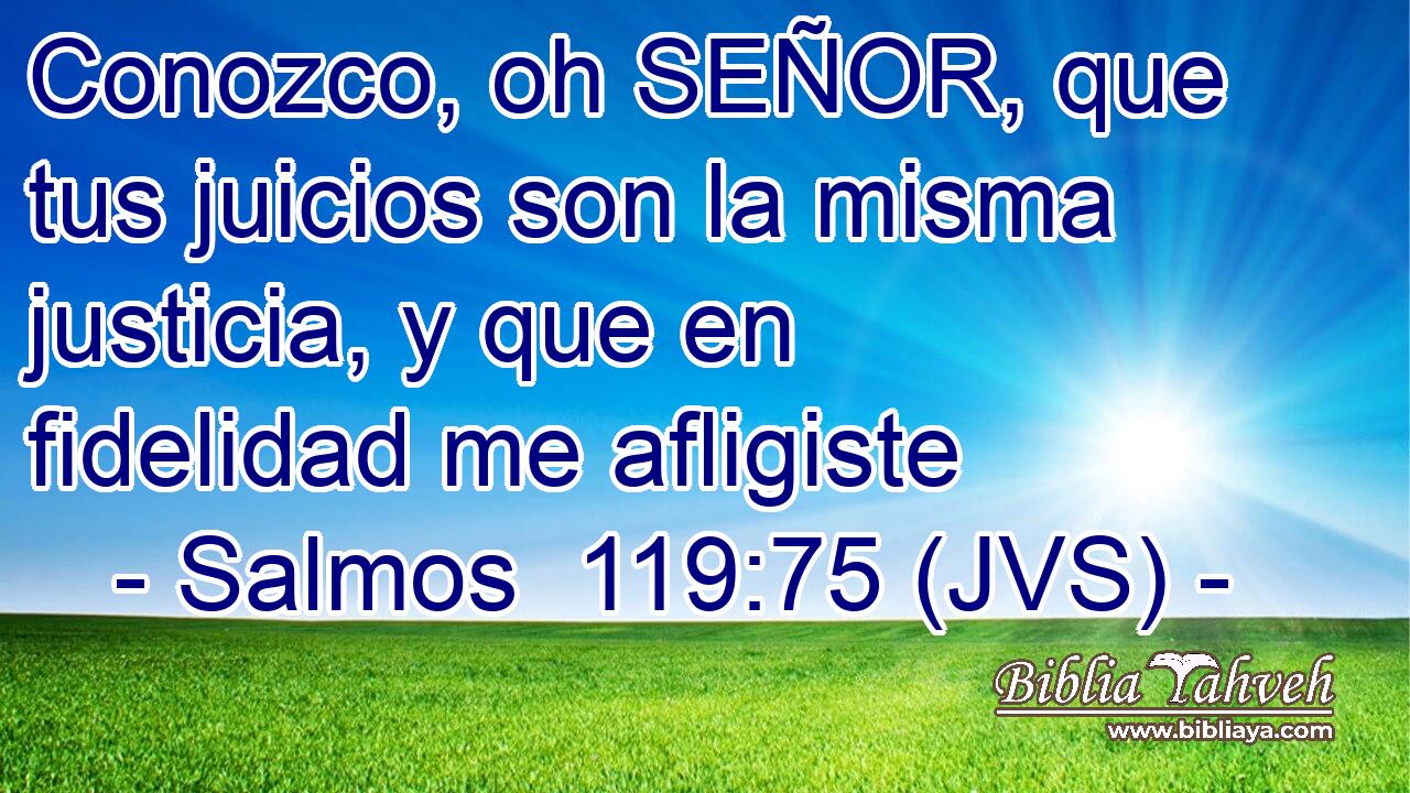 Conozco, oh SEÑOR, que tus juicios son la misma justicia, y que en fidelidad me afligiste