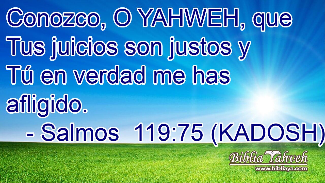  Conozco, O YAHWEH, que Tus juicios son justos y Tú en verdad me has afligido. 