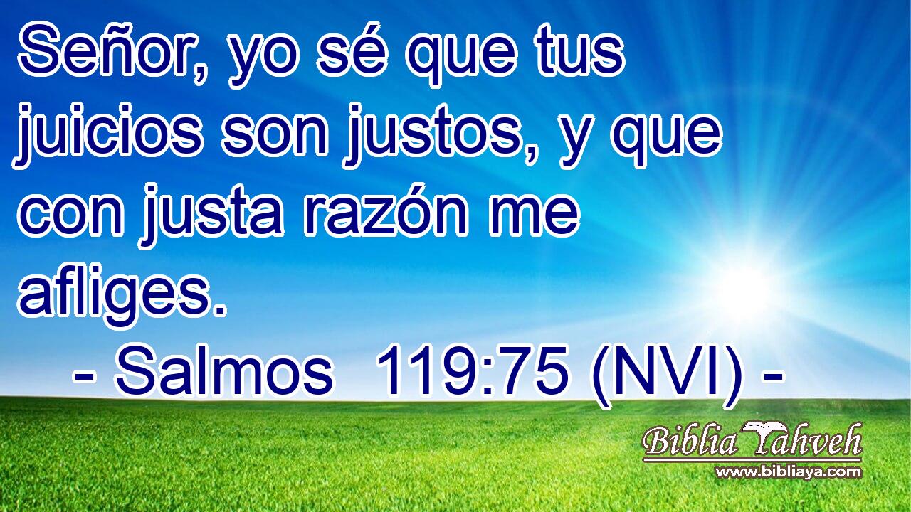  Señor, yo sé que tus juicios son justos, y que con justa razón me afliges. 