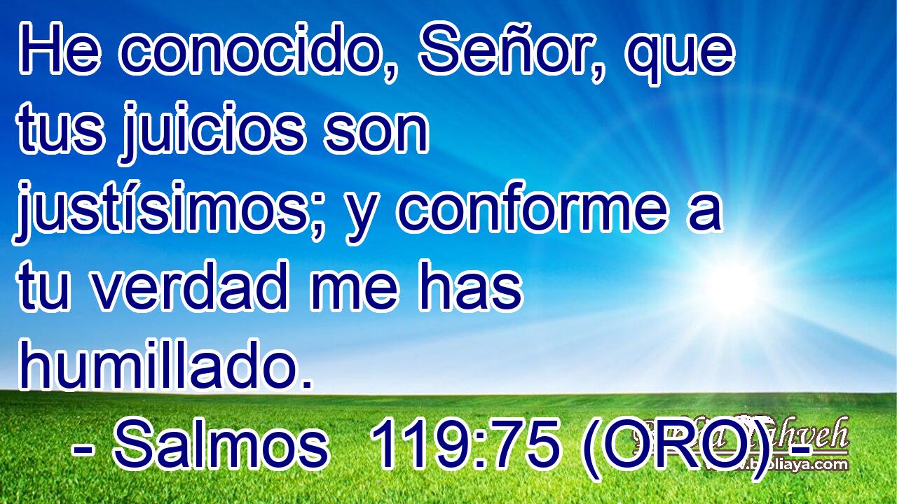  He conocido, Señor, que tus juicios son justísimos; y conforme a tu verdad me has humillado. 