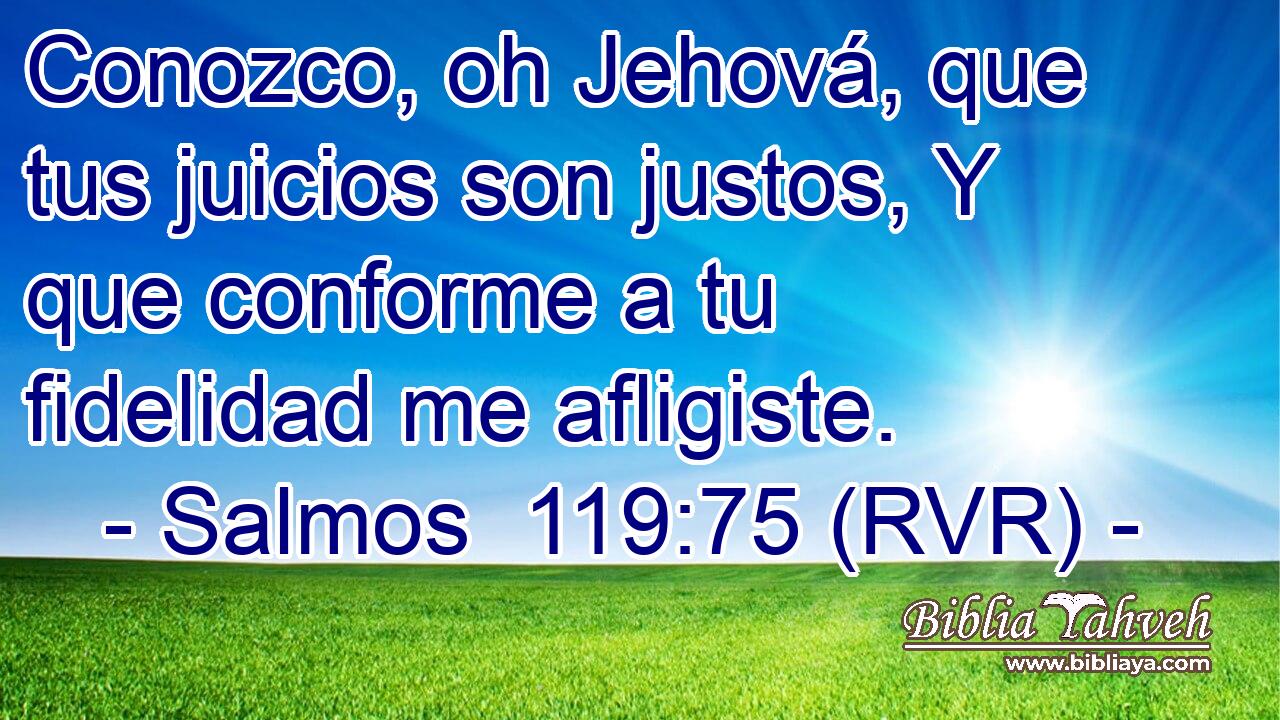 Conozco, oh Jehová, que tus juicios son justos, Y que conforme a tu fidelidad me afligiste.
