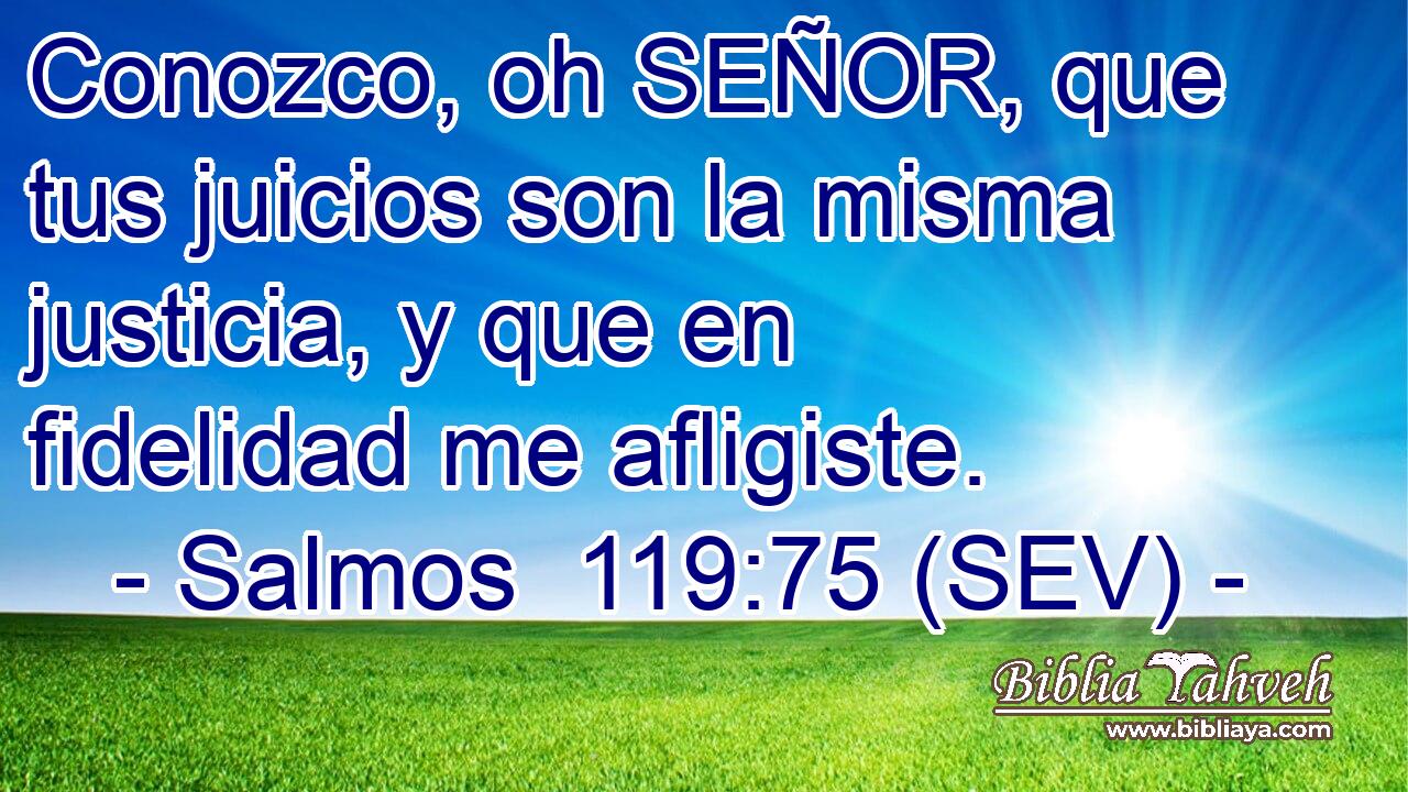 Conozco, oh SEÑOR, que tus juicios son la misma justicia, y que en fidelidad me afligiste.