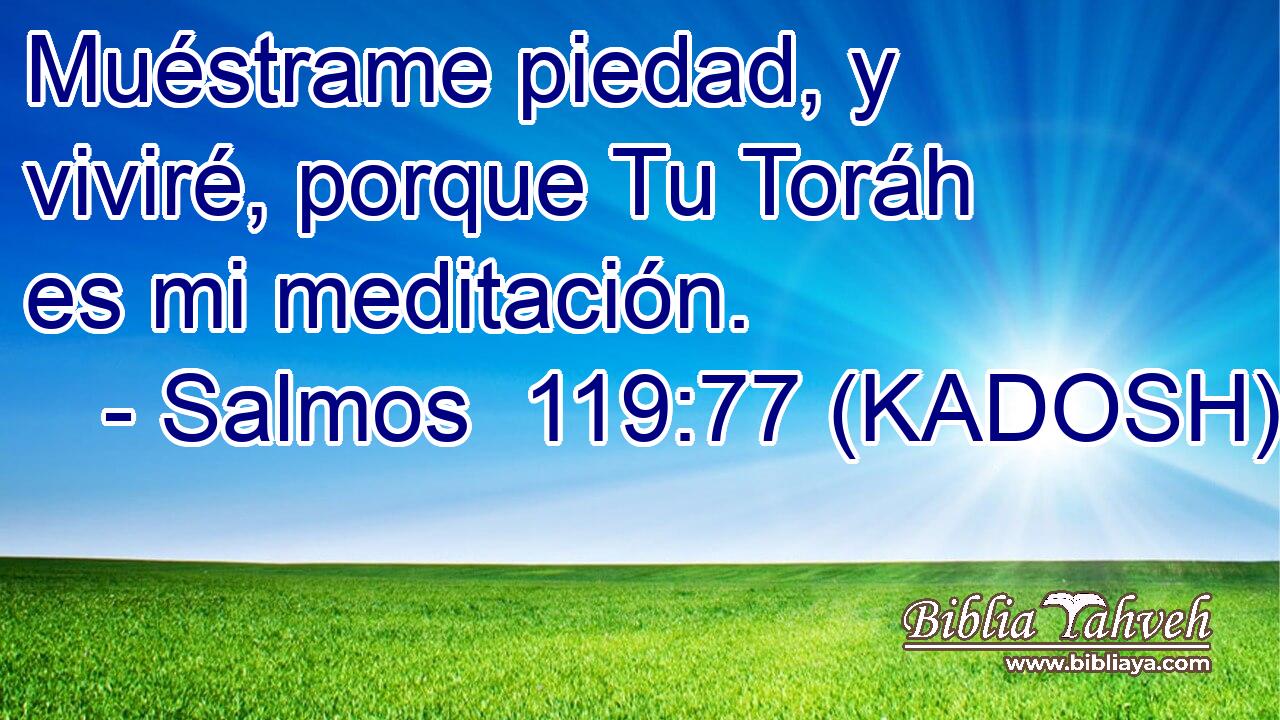  Muéstrame piedad, y viviré, porque Tu Toráh es mi meditación. 