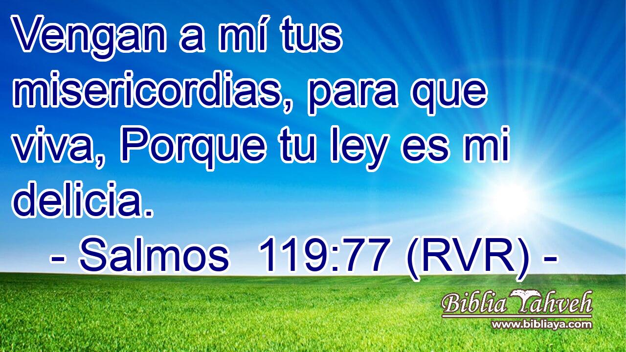 Vengan a mí tus misericordias, para que viva, Porque tu ley es mi delicia.