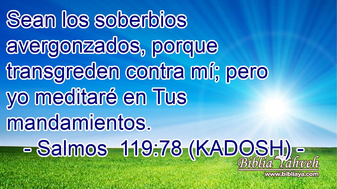  Sean los soberbios avergonzados, porque transgreden contra mí; pero yo meditaré en Tus mandamientos. 