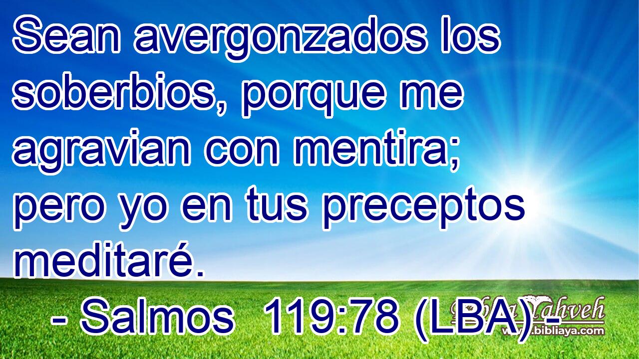 Sean avergonzados los soberbios, porque me agravian con mentira; pero yo en tus preceptos meditaré.