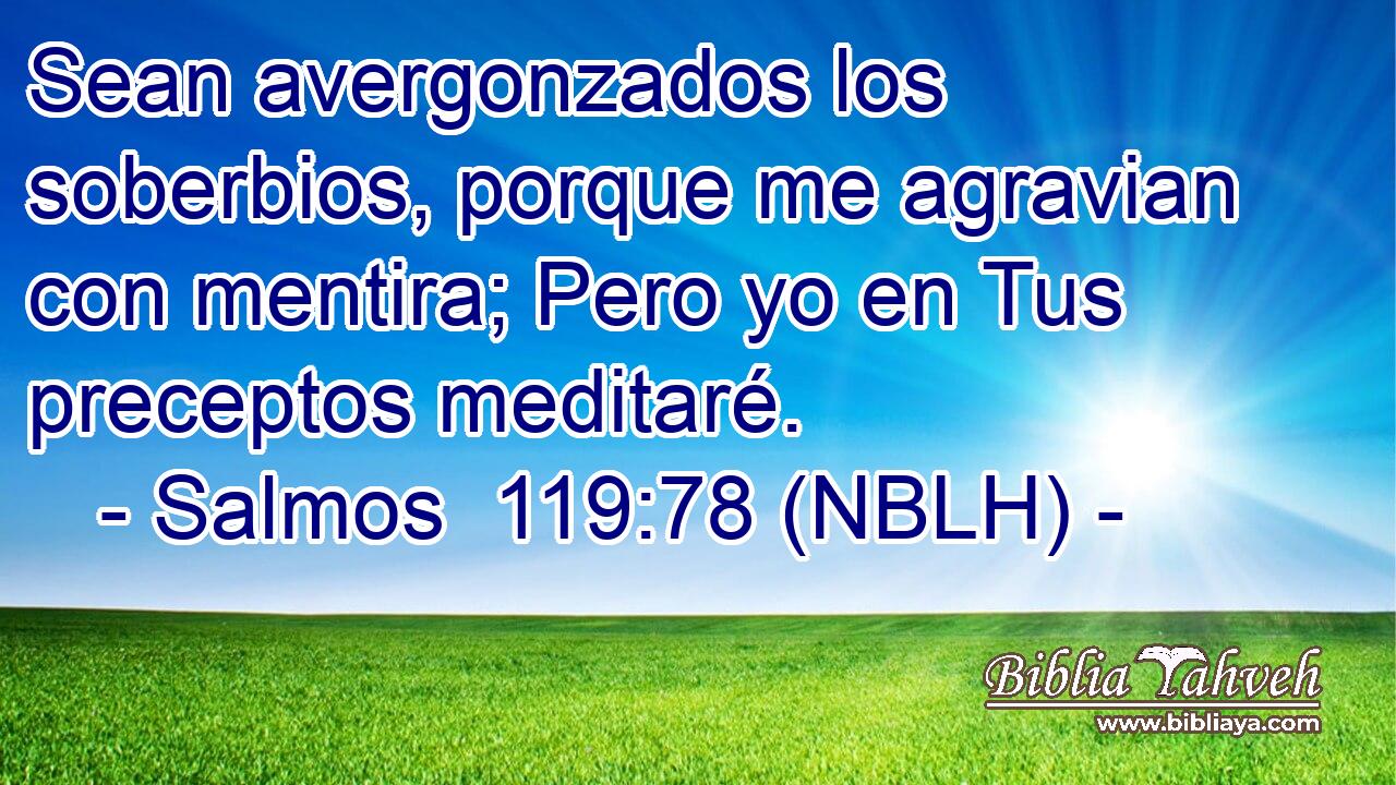  Sean avergonzados los soberbios, porque me agravian con mentira; Pero yo en Tus preceptos meditaré. 