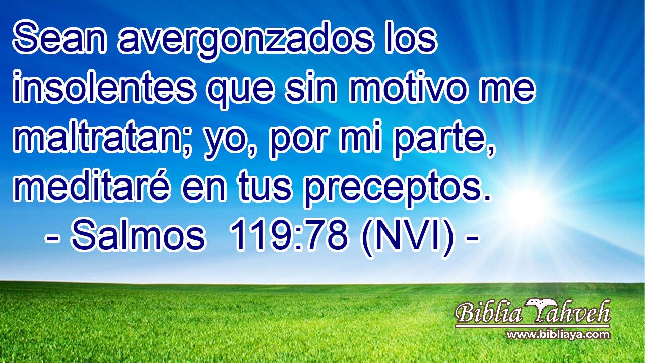  Sean avergonzados los insolentes que sin motivo me maltratan; yo, por mi parte, meditaré en tus preceptos. 