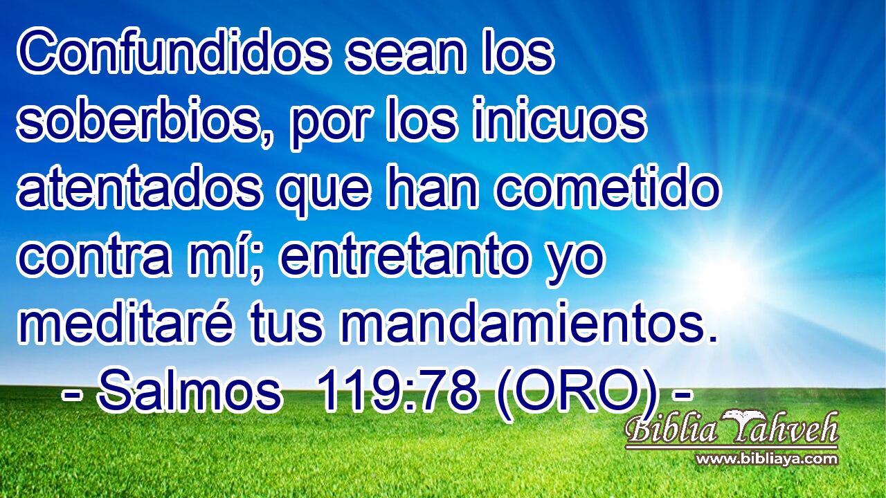  Confundidos sean los soberbios, por los inicuos atentados que han cometido contra mí; entretanto yo meditaré tus mandamientos. 