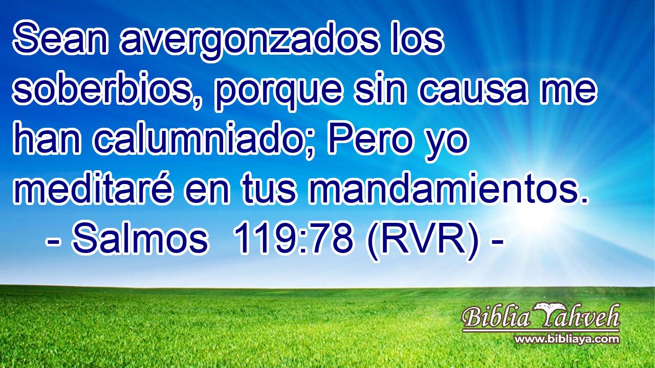 Sean avergonzados los soberbios, porque sin causa me han calumniado; Pero yo meditaré en tus mandamientos.