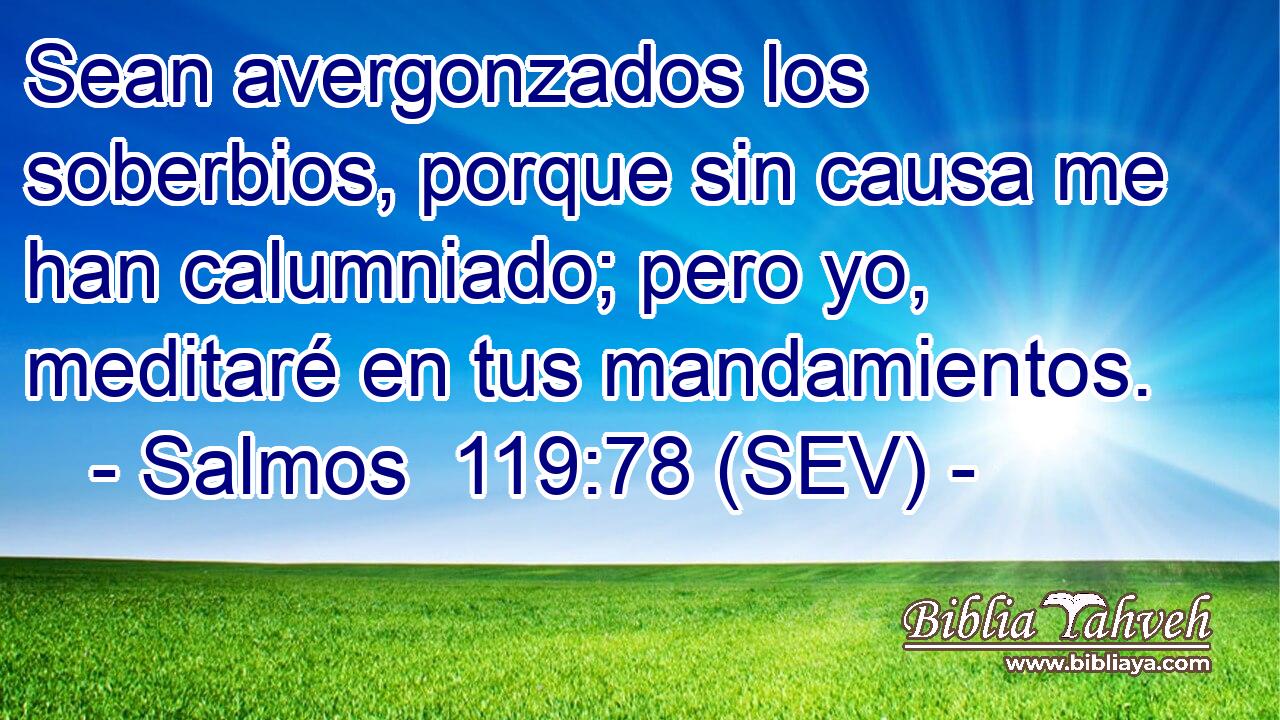 Sean avergonzados los soberbios, porque sin causa me han calumniado; pero yo, meditaré en tus mandamientos.