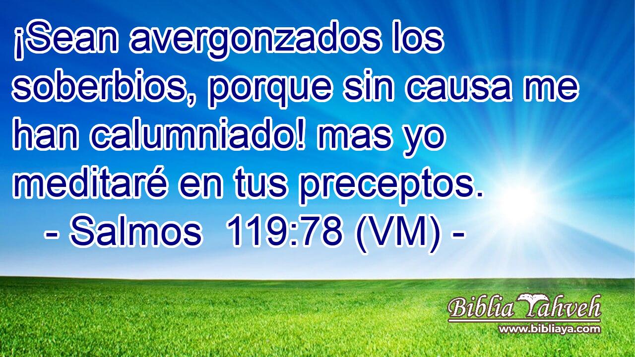  ¡Sean avergonzados los soberbios, porque sin causa me han calumniado! mas yo meditaré en tus preceptos. 