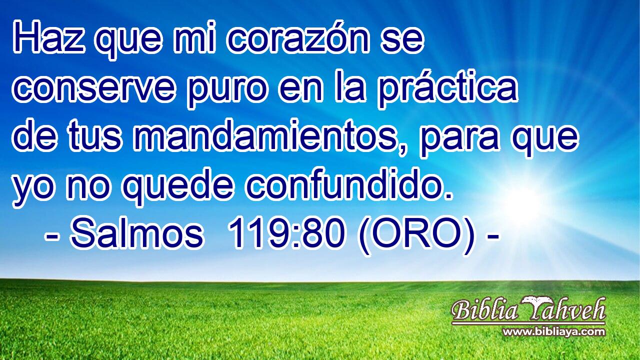  Haz que mi corazón se conserve puro en la práctica de tus mandamientos, para que yo no quede confundido. 
