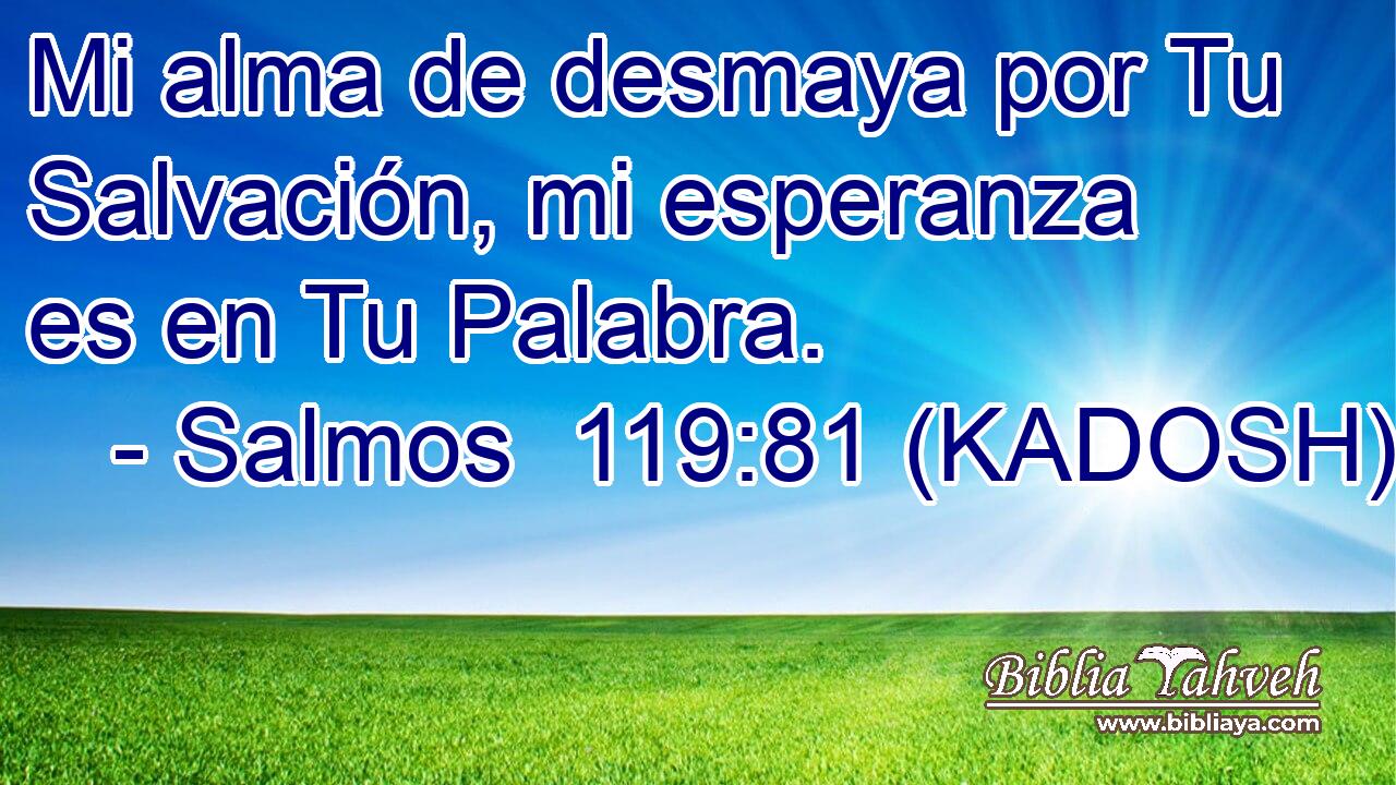  Mi alma de desmaya por Tu Salvación, mi esperanza es en Tu Palabra. 
