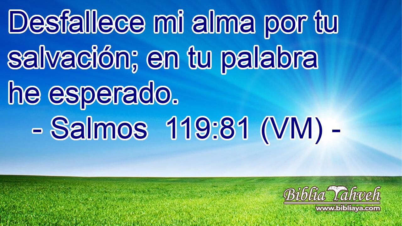 Desfallece mi alma por tu salvación; en tu palabra he esperado. 