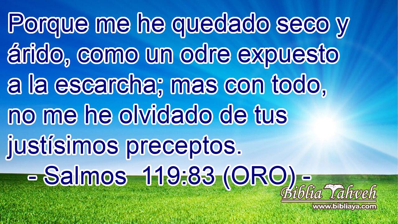  Porque me he quedado seco y árido, como un odre expuesto a la escarcha; mas con todo, no me he olvidado de tus justísimos preceptos. 