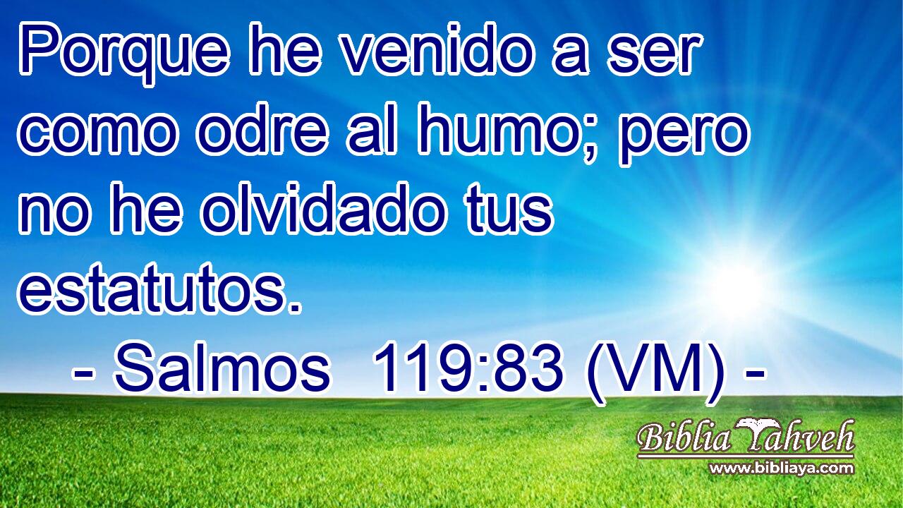  Porque he venido a ser como odre al humo; pero no he olvidado tus estatutos. 