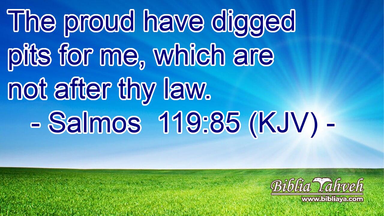 The proud have digged pits for me, which are not after thy law.