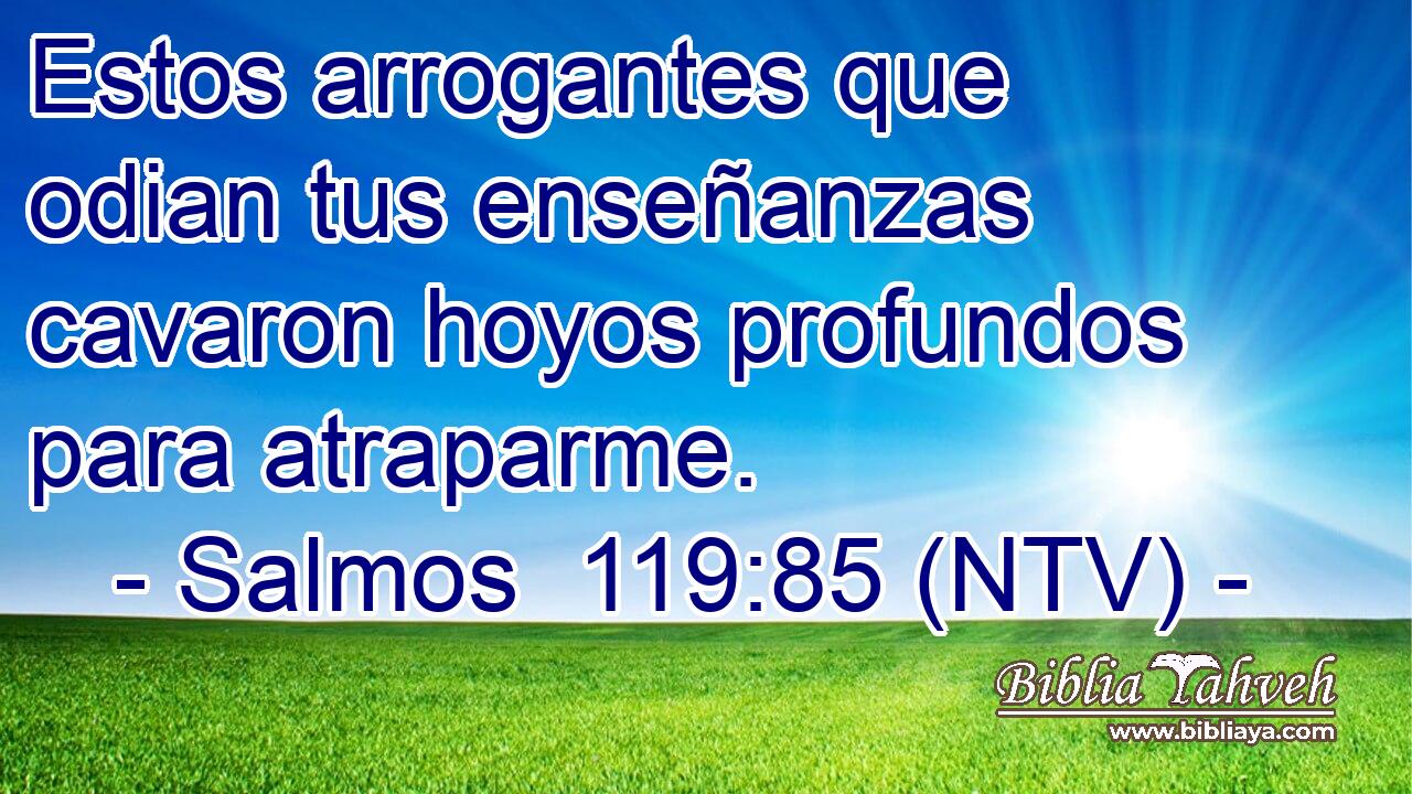 Estos arrogantes que odian tus enseñanzas cavaron hoyos profundos para atraparme.