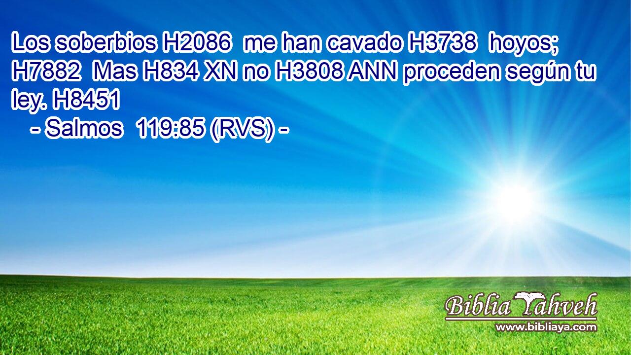 Los soberbios H2086  me han cavado H3738  hoyos; H7882  Mas H834 XN no H3808 ANN proceden según tu ley. H8451  