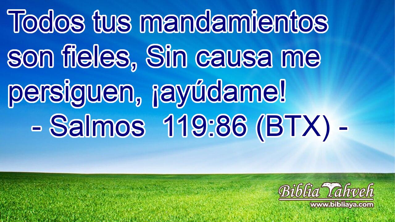 Todos tus mandamientos son fieles, Sin causa me persiguen, ¡ayúdame!
