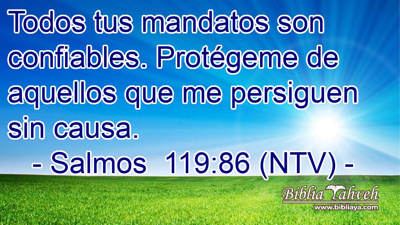 Todos tus mandatos son confiables. Protégeme de aquellos que me persiguen sin causa.