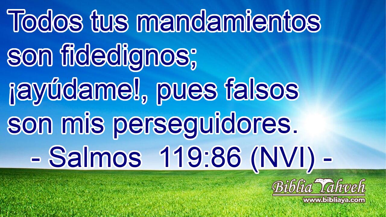  Todos tus mandamientos son fidedignos; ¡ayúdame!, pues falsos son mis perseguidores. 